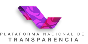 logo_pnt-300x151